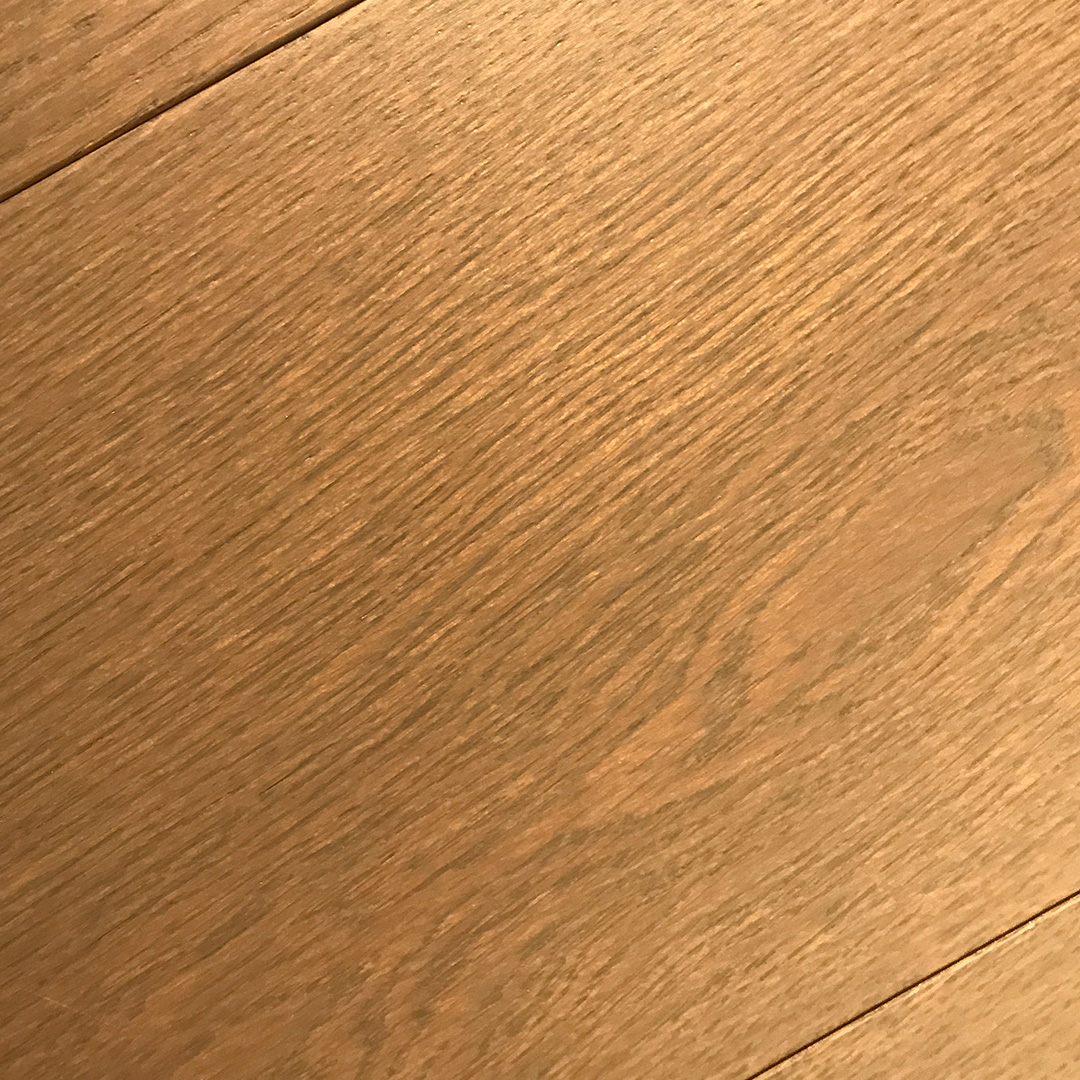 camellia - narrative collection